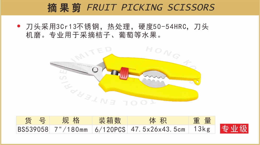 BS539058.jpg